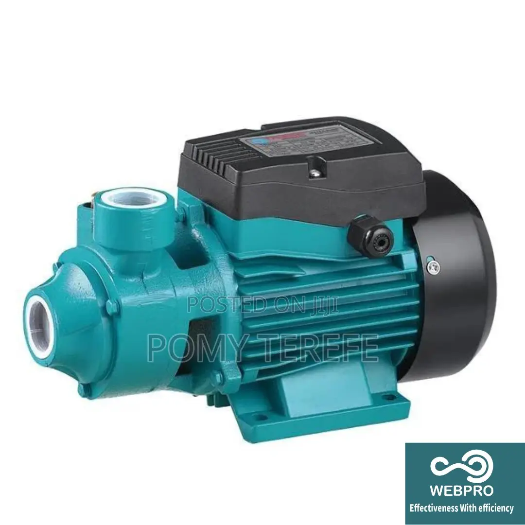 0.5 HP QB Peripheral Pump