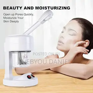 Mini Facial Steam