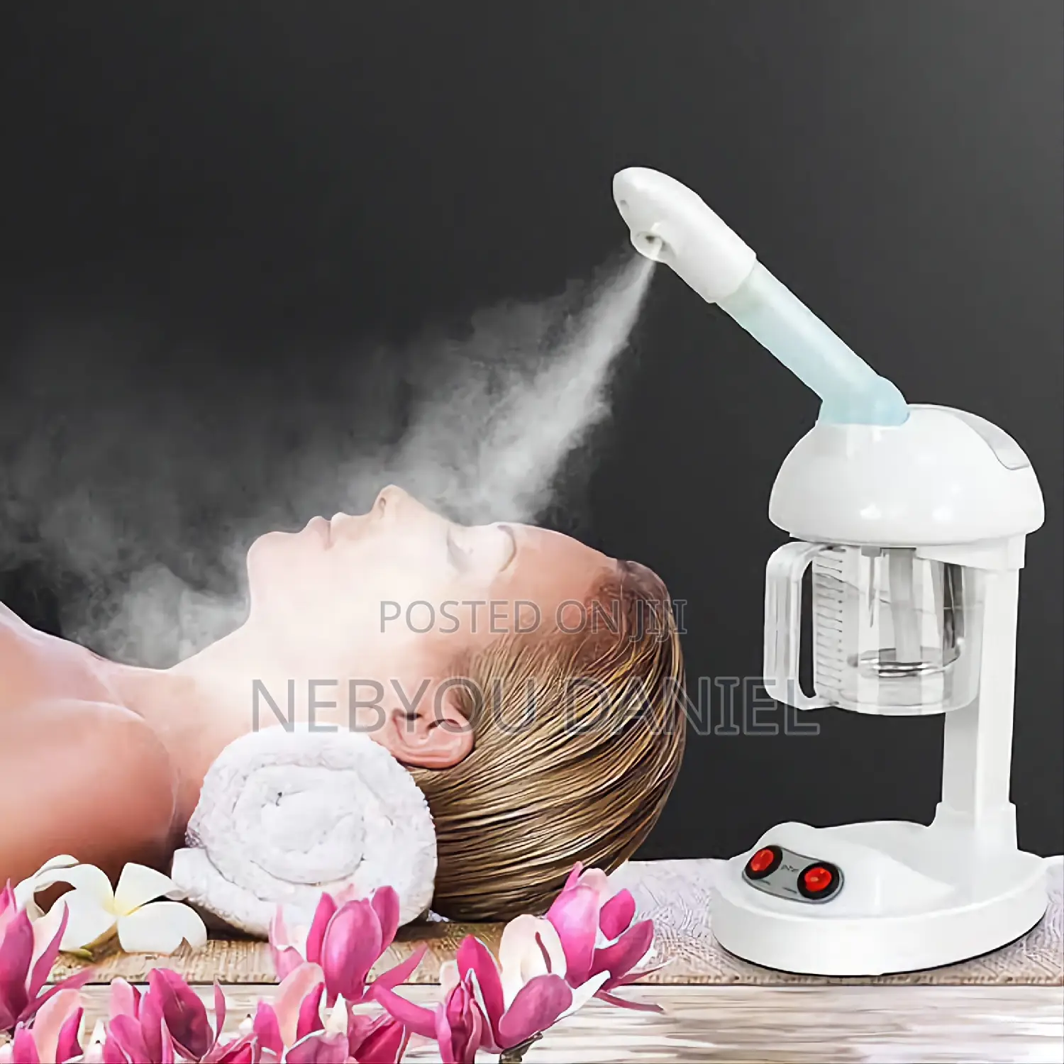 Mini Facial Steam