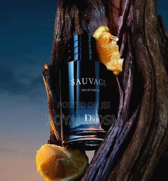 Sauvage Dior Perfume
