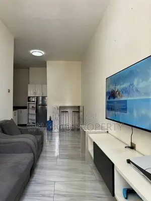 Furnished 1bdrm Apartment in Bole for rent