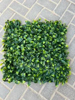 Photo - Greenery for Interior