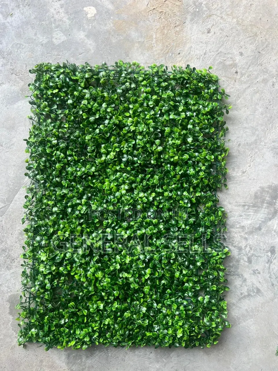 Greenery for Interior