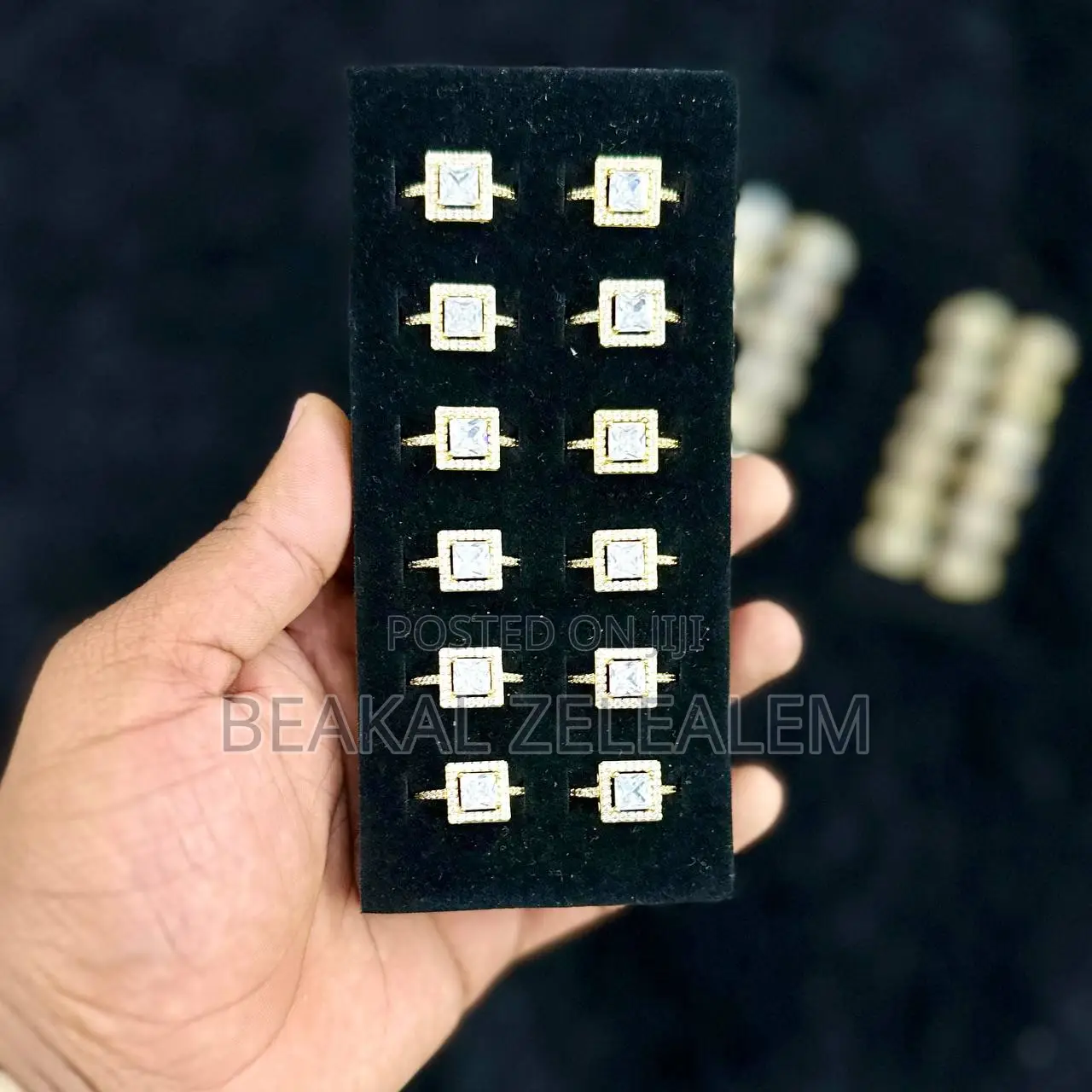 Stainless Steel Double Rings