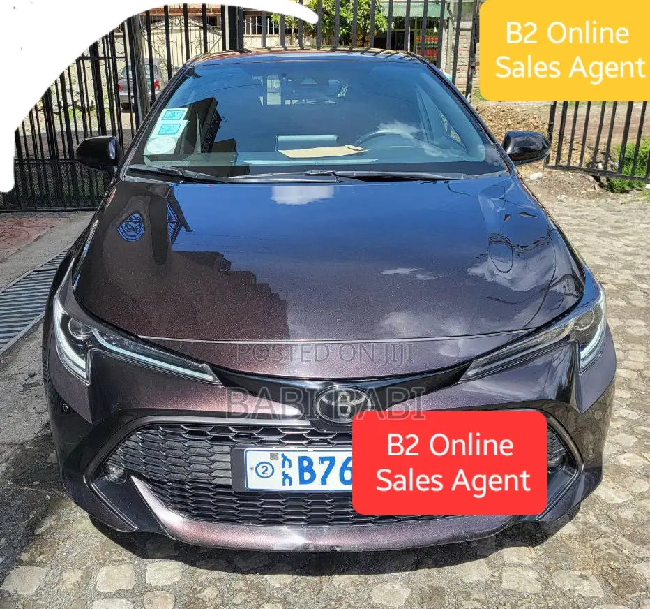 Toyota Corolla 2021 Burgundy