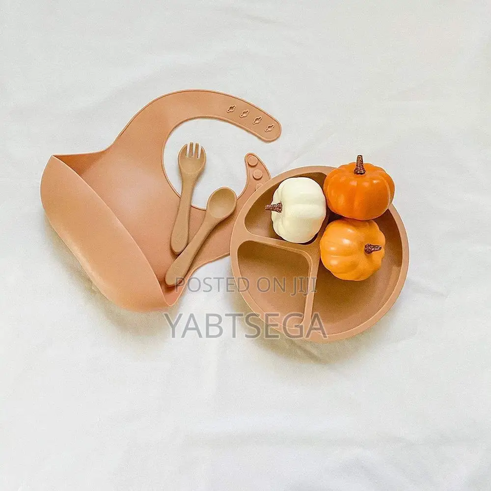 4 in 1 Pieces Silicone Meal Set