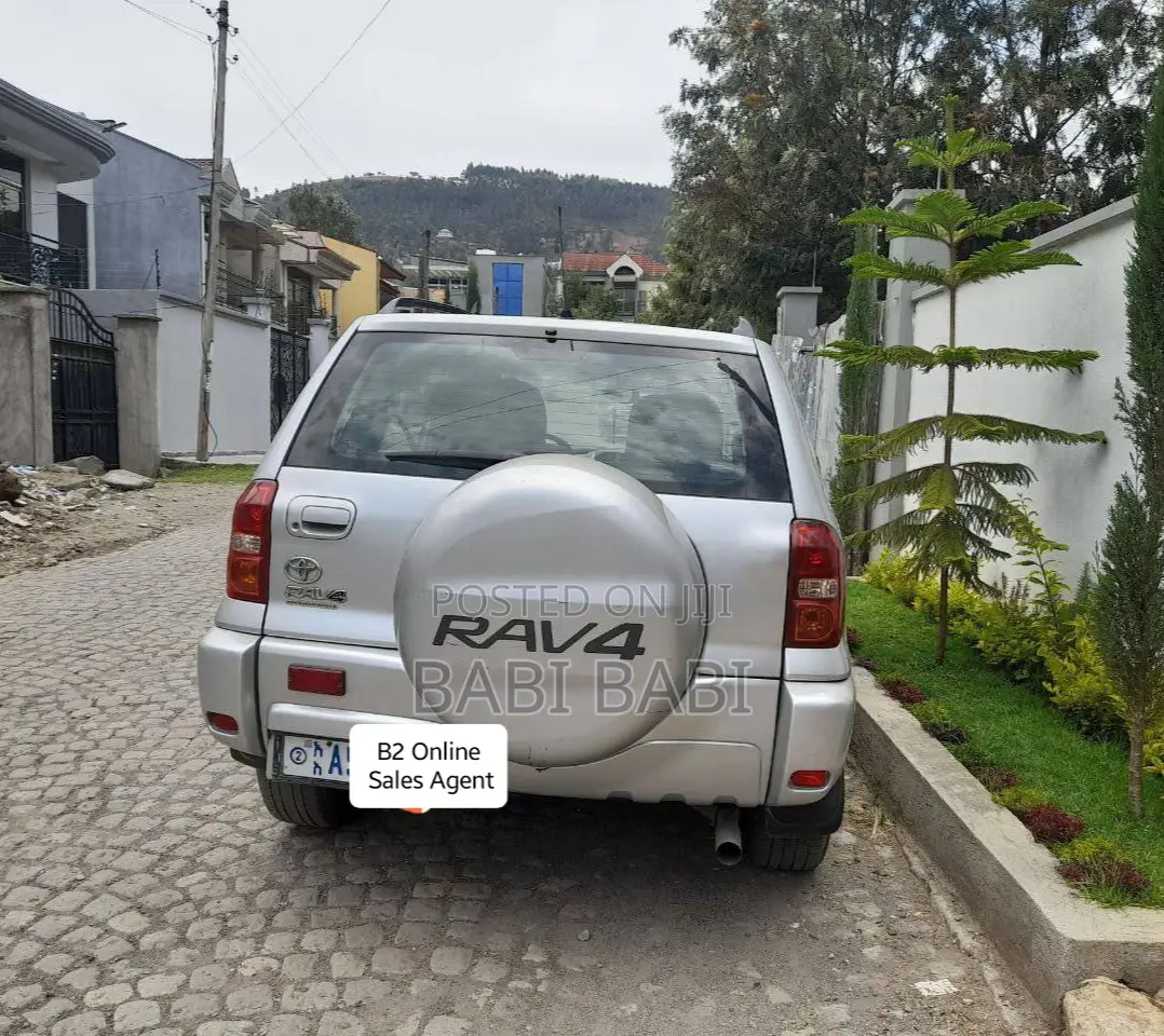 Toyota RAV4 2005 Silver