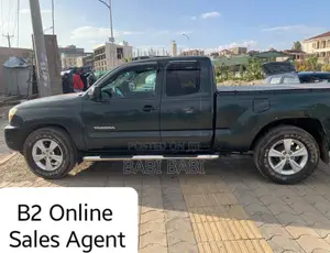 Toyota Tacoma 2008 Gray