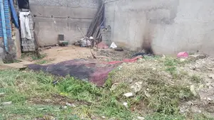 Photo - መሬት ደላላ የእንጨት ሞያተኛ