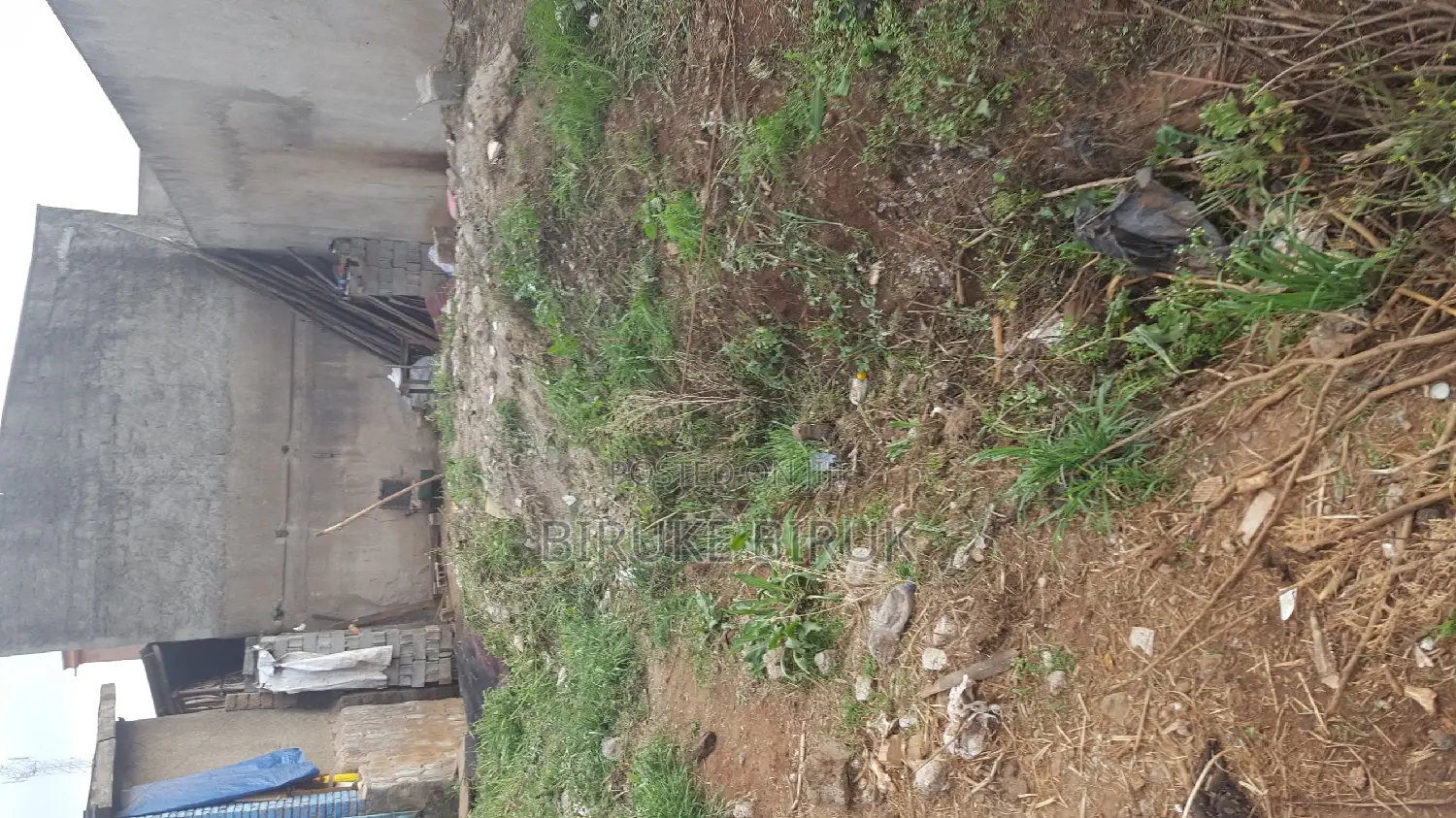 መሬት ደላላ የእንጨት ሞያተኛ