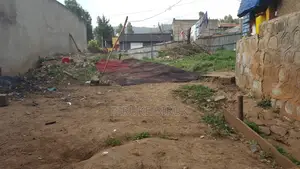 መሬት ደላላ የእንጨት ሞያተኛ