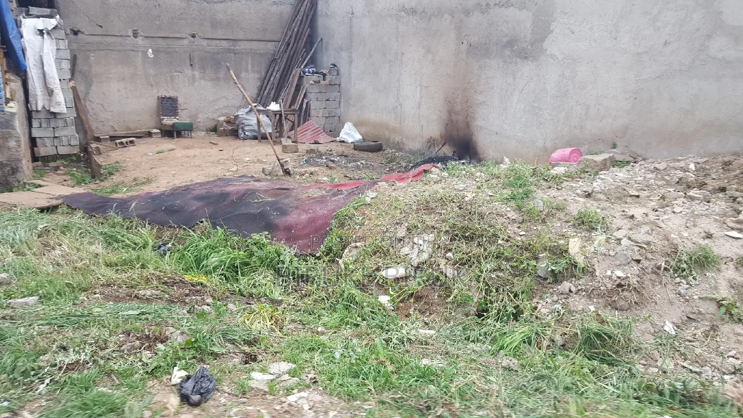 መሬት ደላላ የእንጨት ሞያተኛ