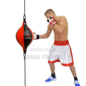 Photo - Boxing Ball