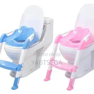 Potty Training Seat With Step Ladder