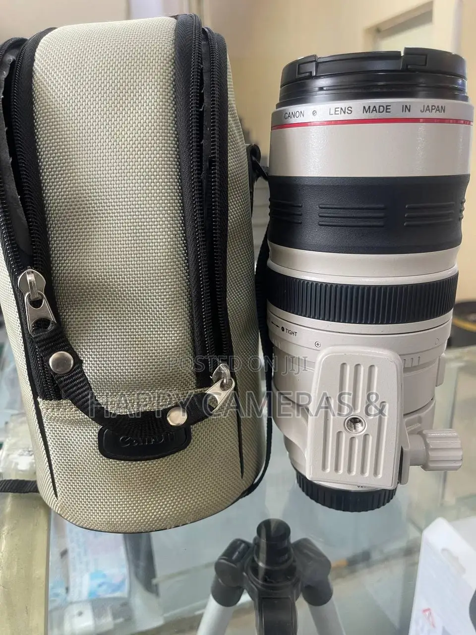 Canon 100-400mm Zebra Lens