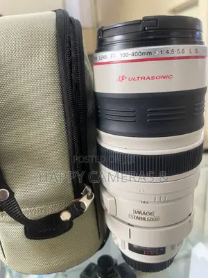 Canon 100-400mm Zebra Lens