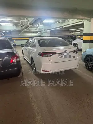 New Toyota Corolla 2022 White