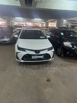 New Toyota Corolla 2022 White