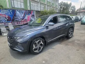 Hyundai Tucson 2021 Gray