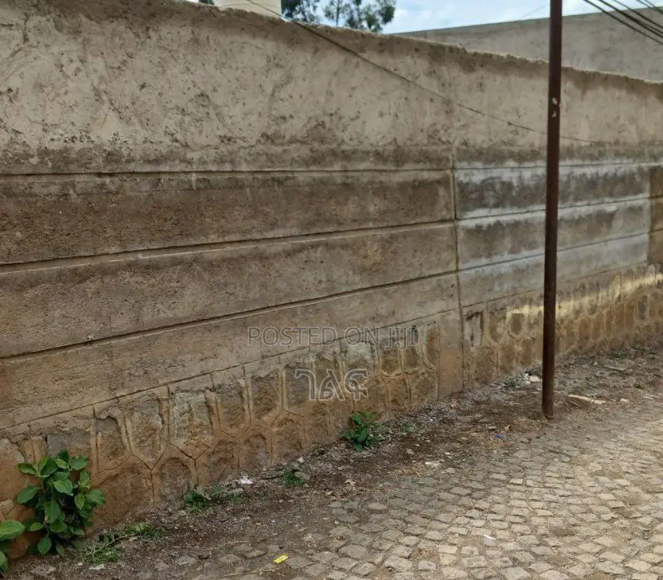 አያት ሃይሌ ሪልስቴት አካባቢ 225 ካሬ ዲጂታል ካርታ ቦታ