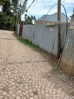 አያት ሃይሌ ሪልስቴት አካባቢ 225 ካሬ ዲጂታል ካርታ ቦታ