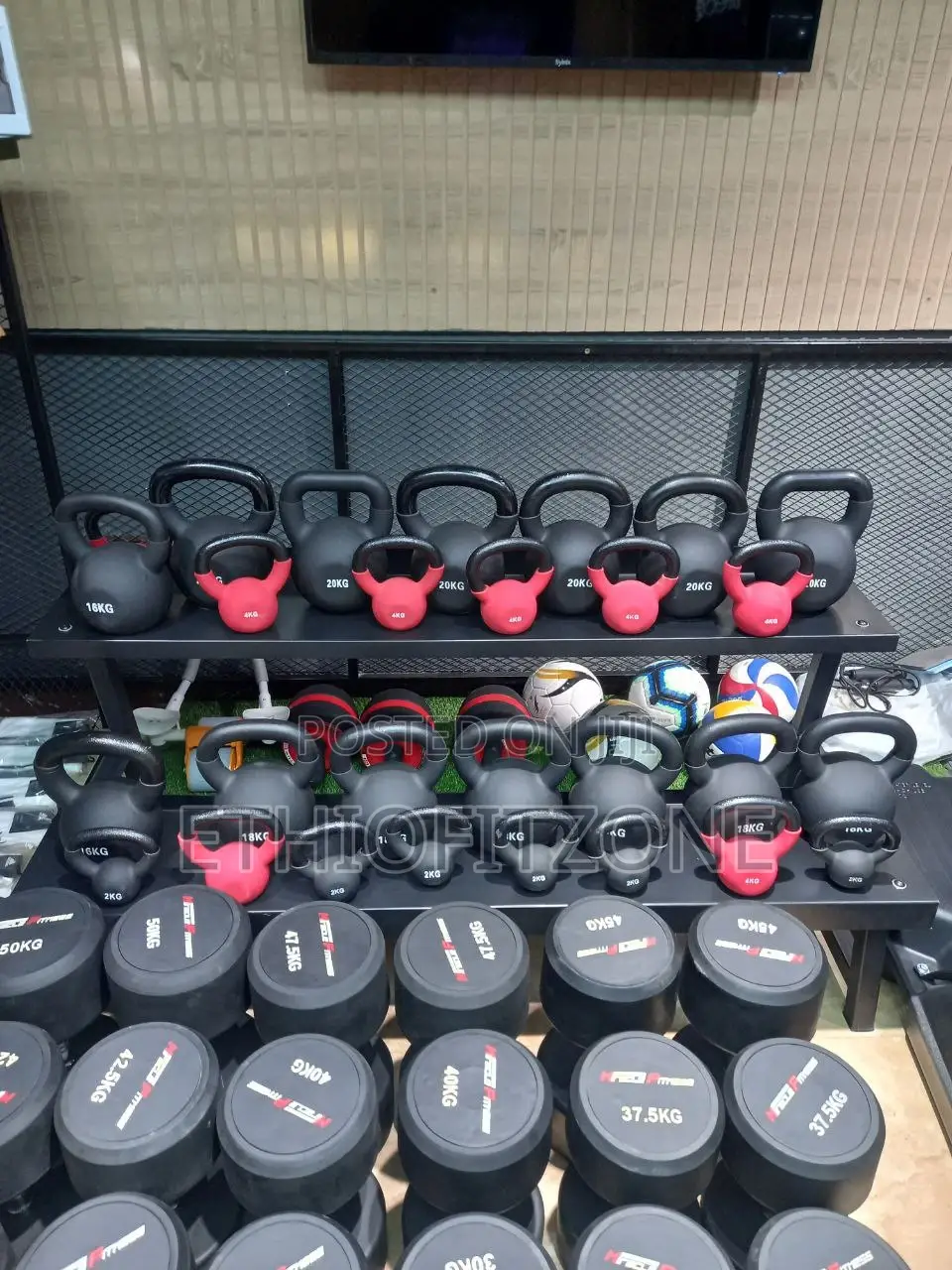 Kittle Bell Dambbells