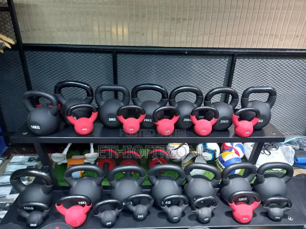 Kittle Bell Dambbells