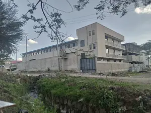 Furnished 5bdrm House in አዲስ አበባ, Akaky Kaliti for sale