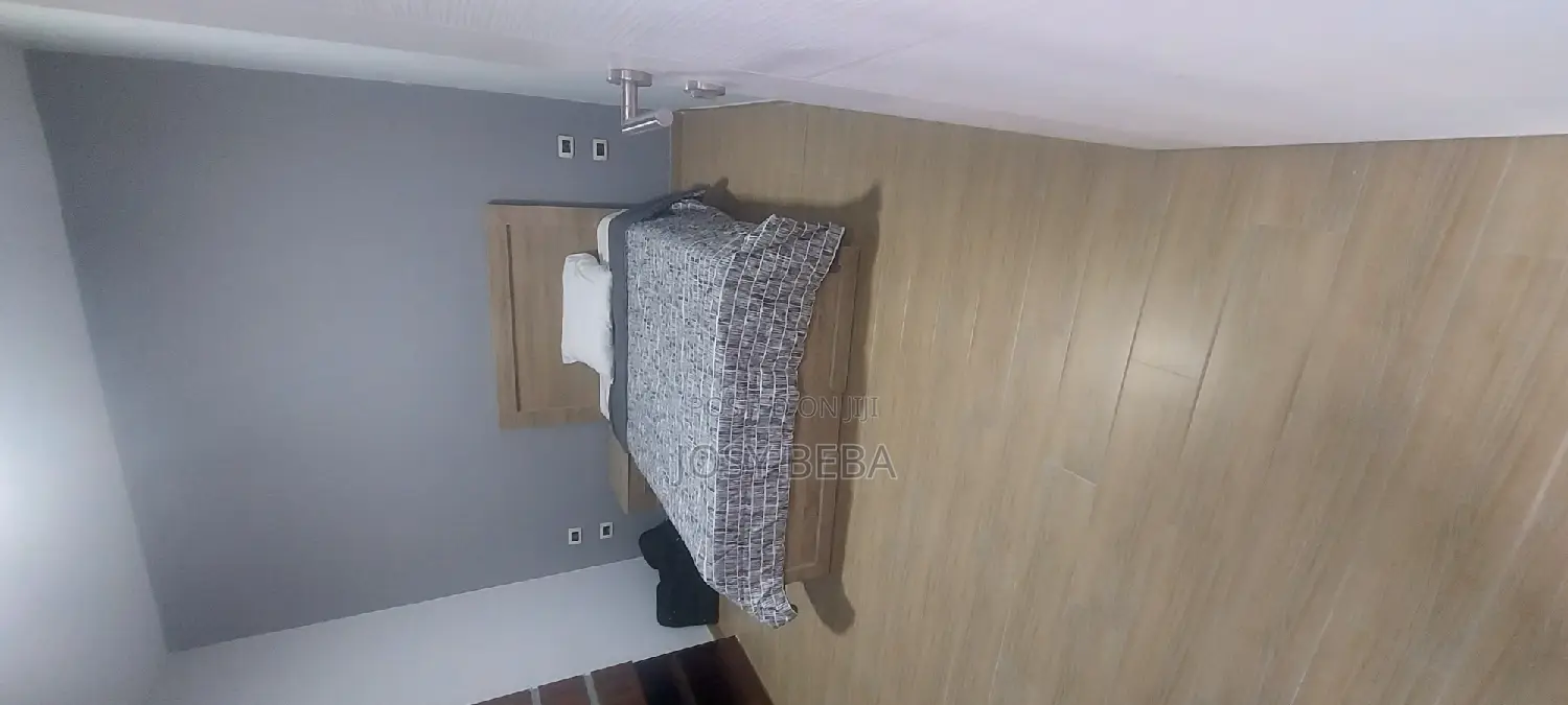 Furnished 3bdrm Apartment in Bole for rent