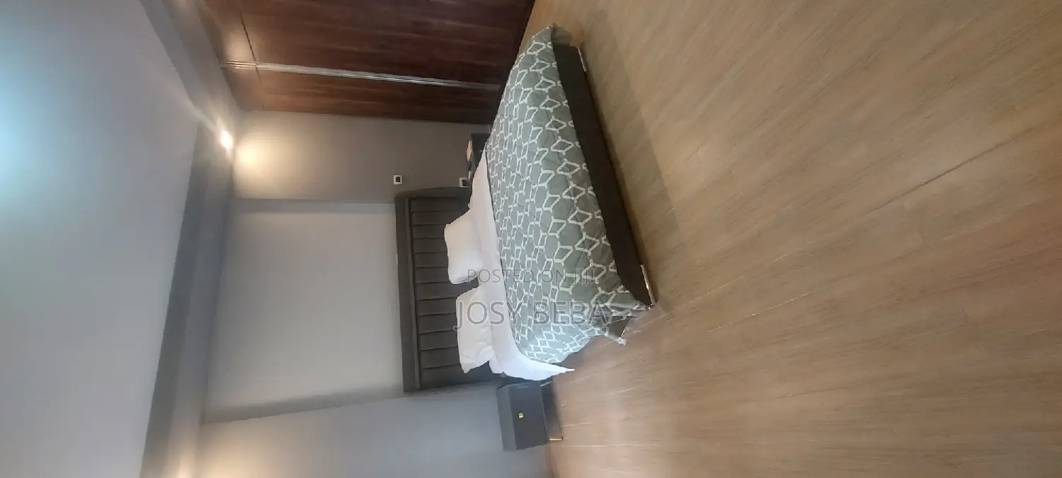 Furnished 3bdrm Apartment in Bole for rent