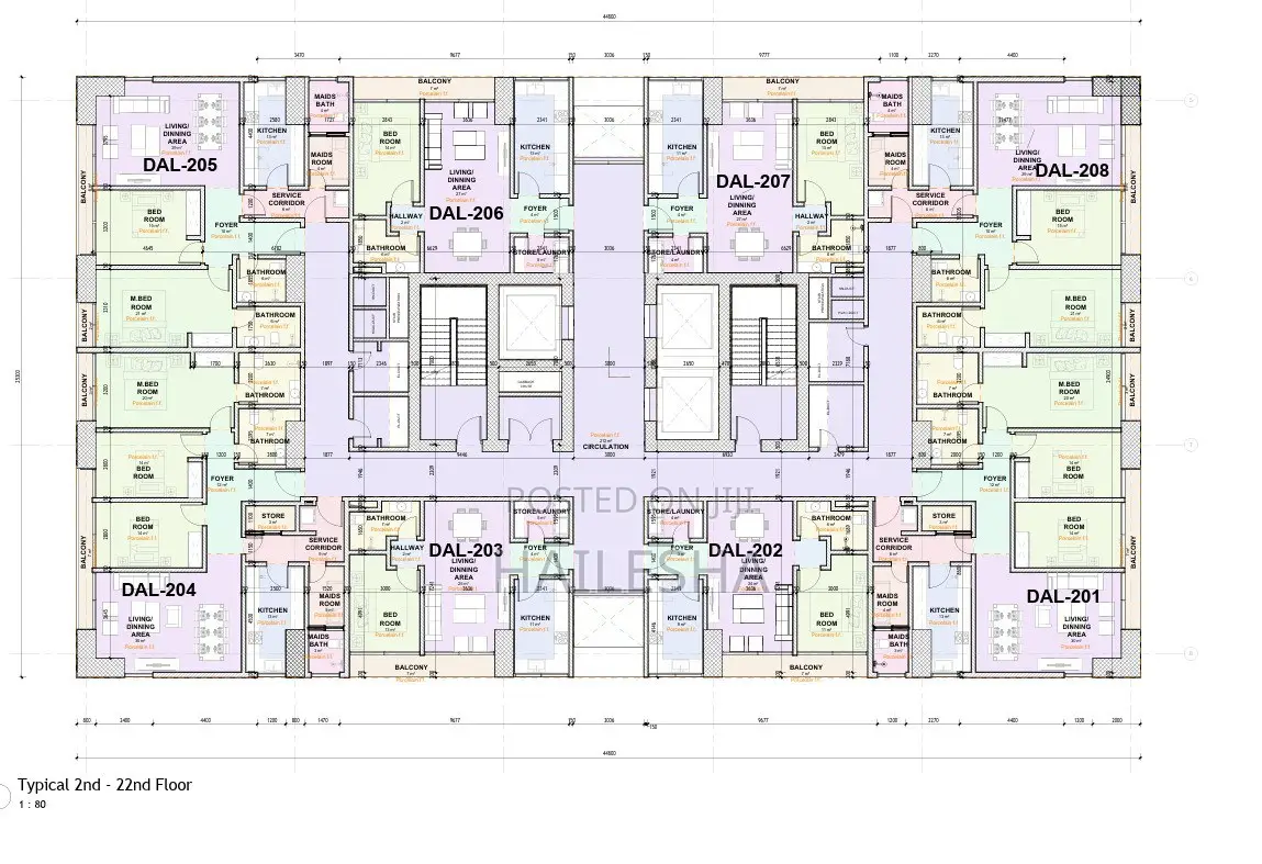 Apartment Around Friendship Park and Sheraton