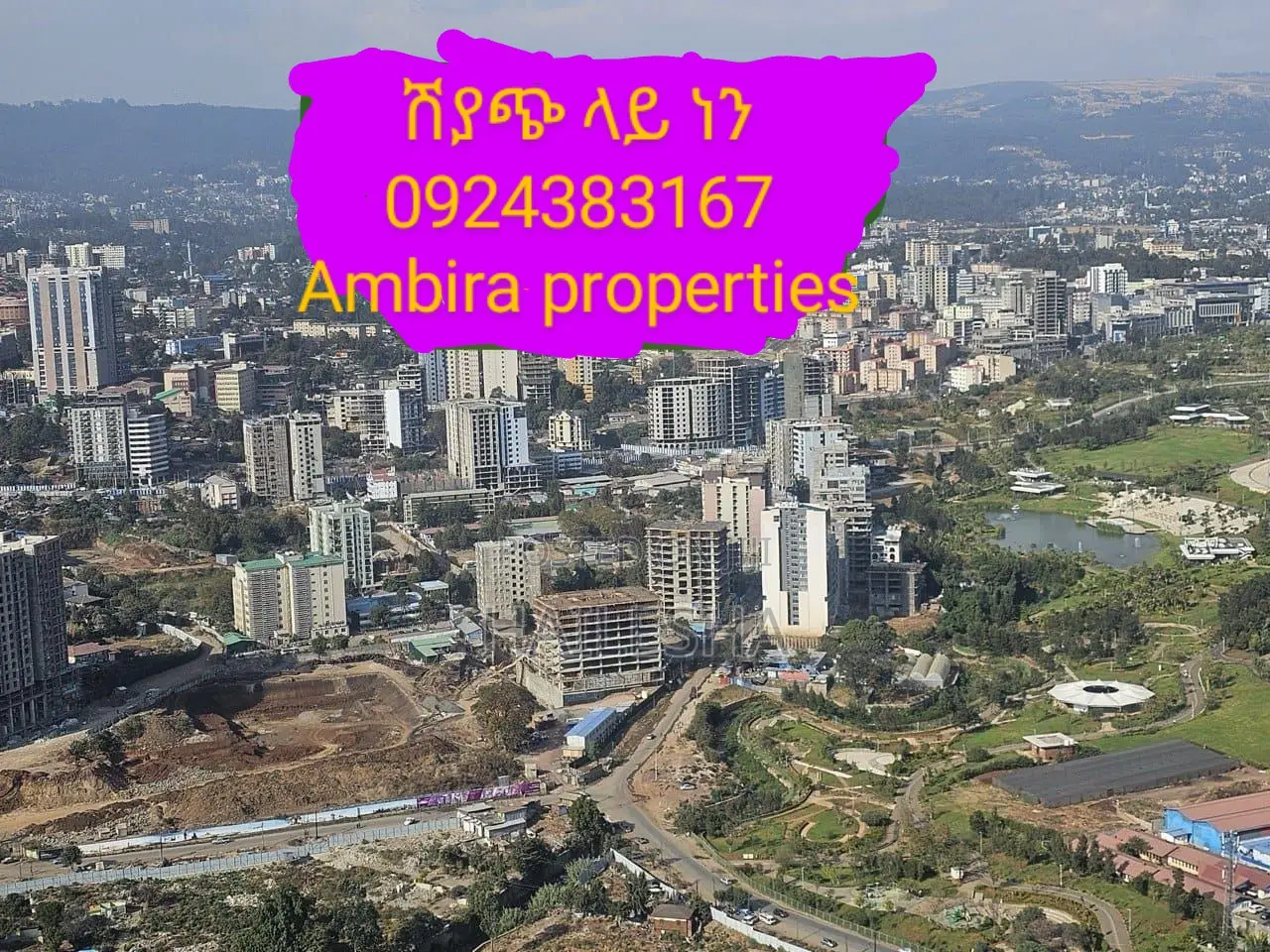 Apartment Around Friendship Park and Sheraton