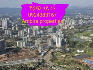 Apartment Around Friendship Park and Sheraton