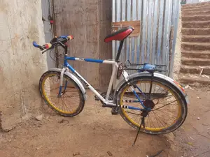 Phoneix Cycle or Speed Bike