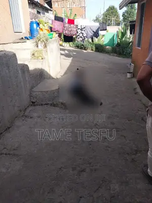 2bdrm House in Wosene, Yeka for sale