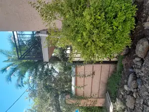 Furnished 6bdrm House in Akaky Kaliti for sale