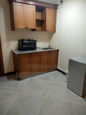 Furnished 1bdrm Apartment in Bole for rent