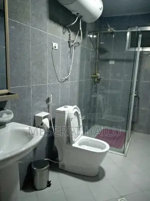 Furnished 1bdrm Apartment in Bole for rent