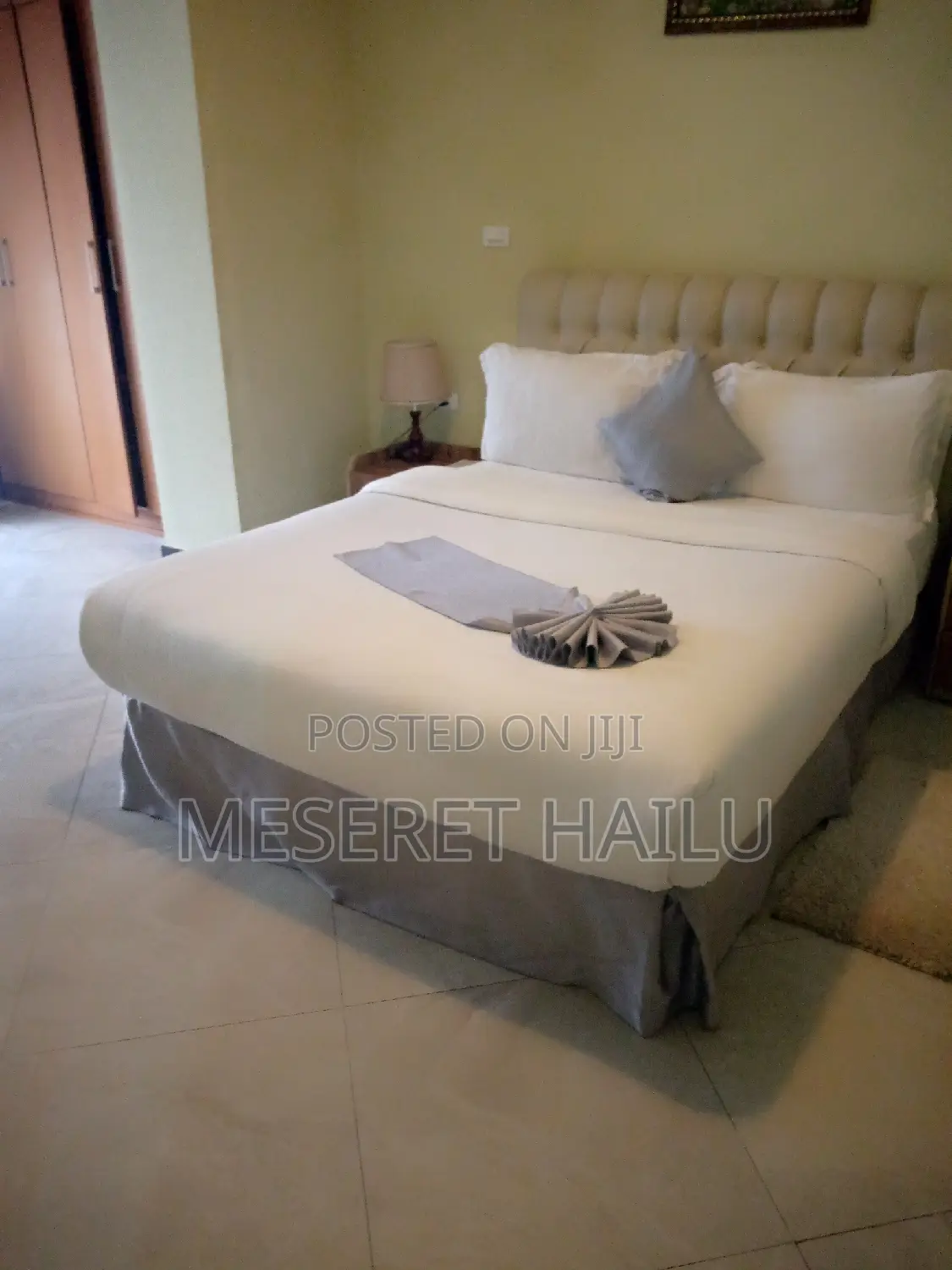 Furnished 1bdrm Apartment in Bole for rent