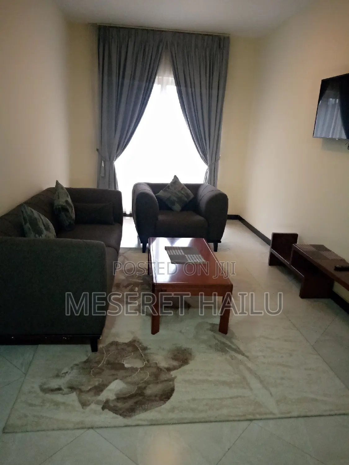 Furnished 1bdrm Apartment in Bole for rent