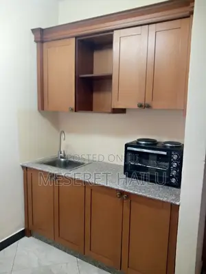 Furnished 1bdrm Apartment in Bole for rent