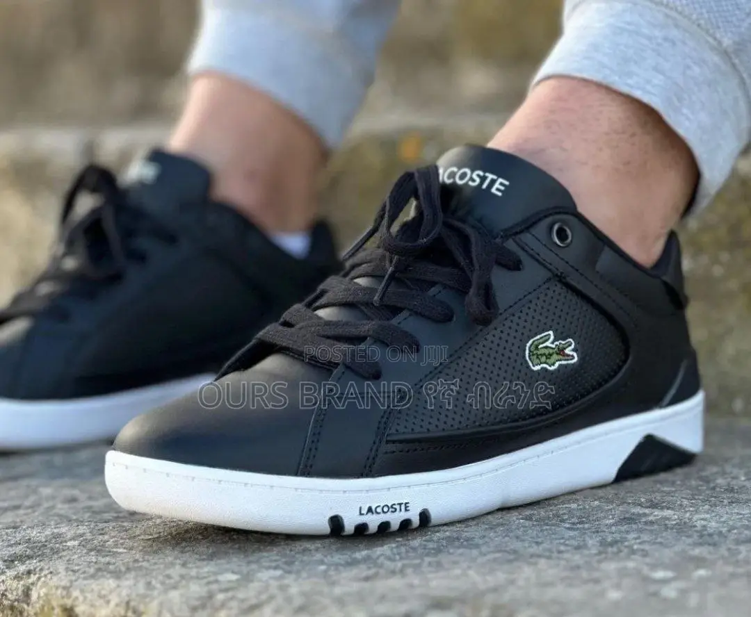 High Master Quality Luxurious Lacoste Flat's Men's Shoes