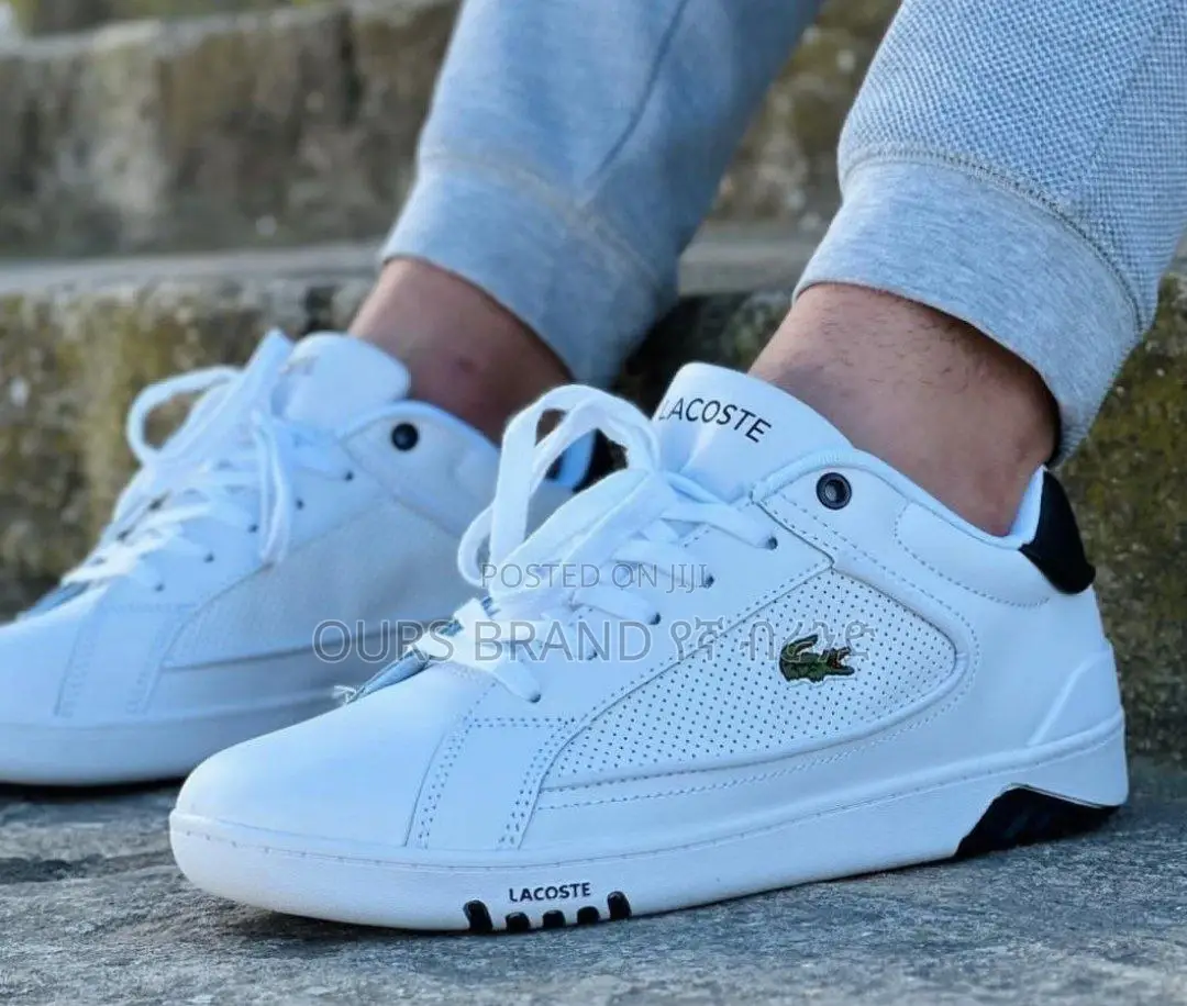 High Master Quality Luxurious Lacoste Flat's Men's Shoes