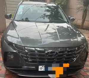 Photo - New Hyundai Tucson 2022 Gray
