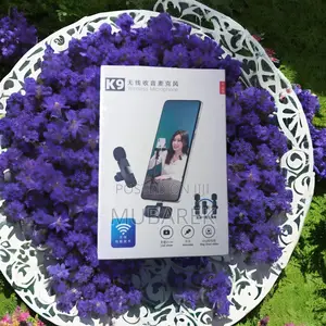 Photo - New Dual Microphone: Revolutionizing Sound Capture