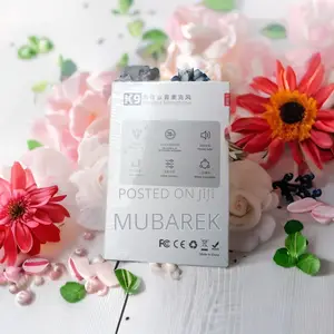 New Dual Microphone: Revolutionizing Sound Capture