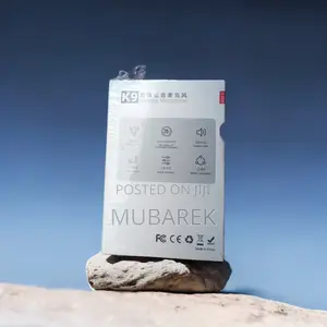 Photo - New Dual Microphone: Capturing Sound in Perfect Harmony