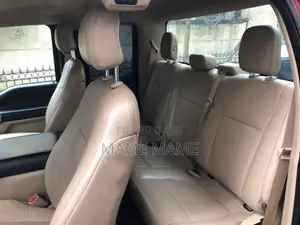 Ford F-150 2017 Gray