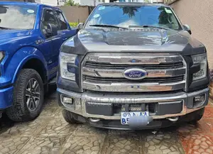 Ford F-150 2017 Gray