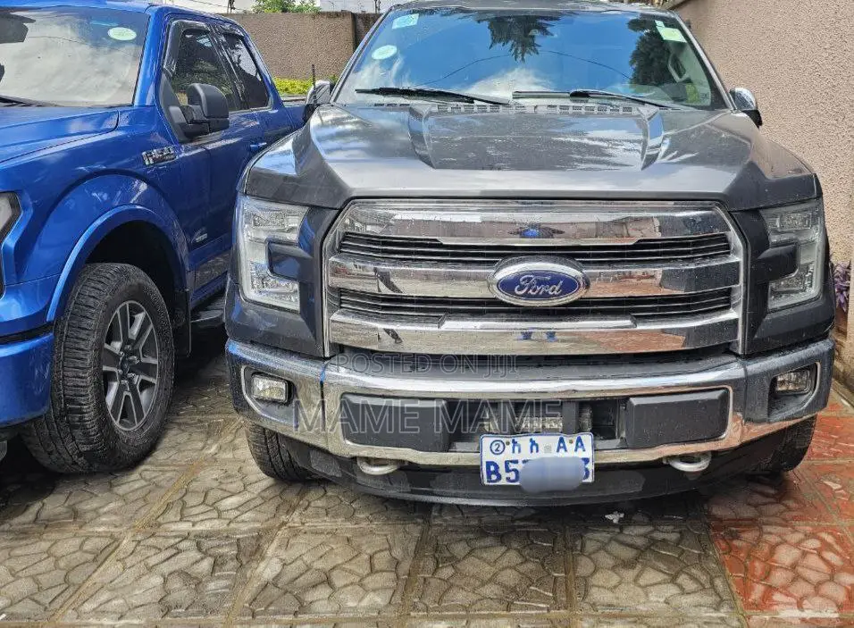 Ford F-150 2017 Gray